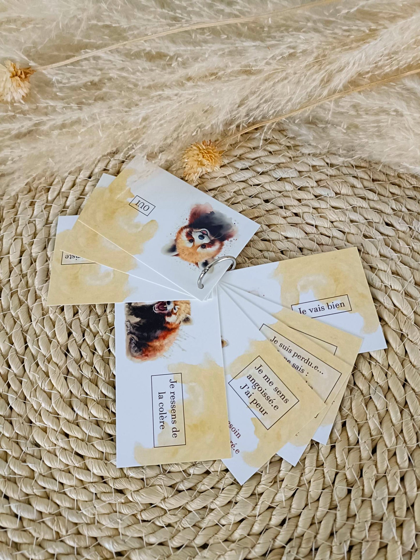 Coffret cadeau: L'essentiel (toutes les cartes)