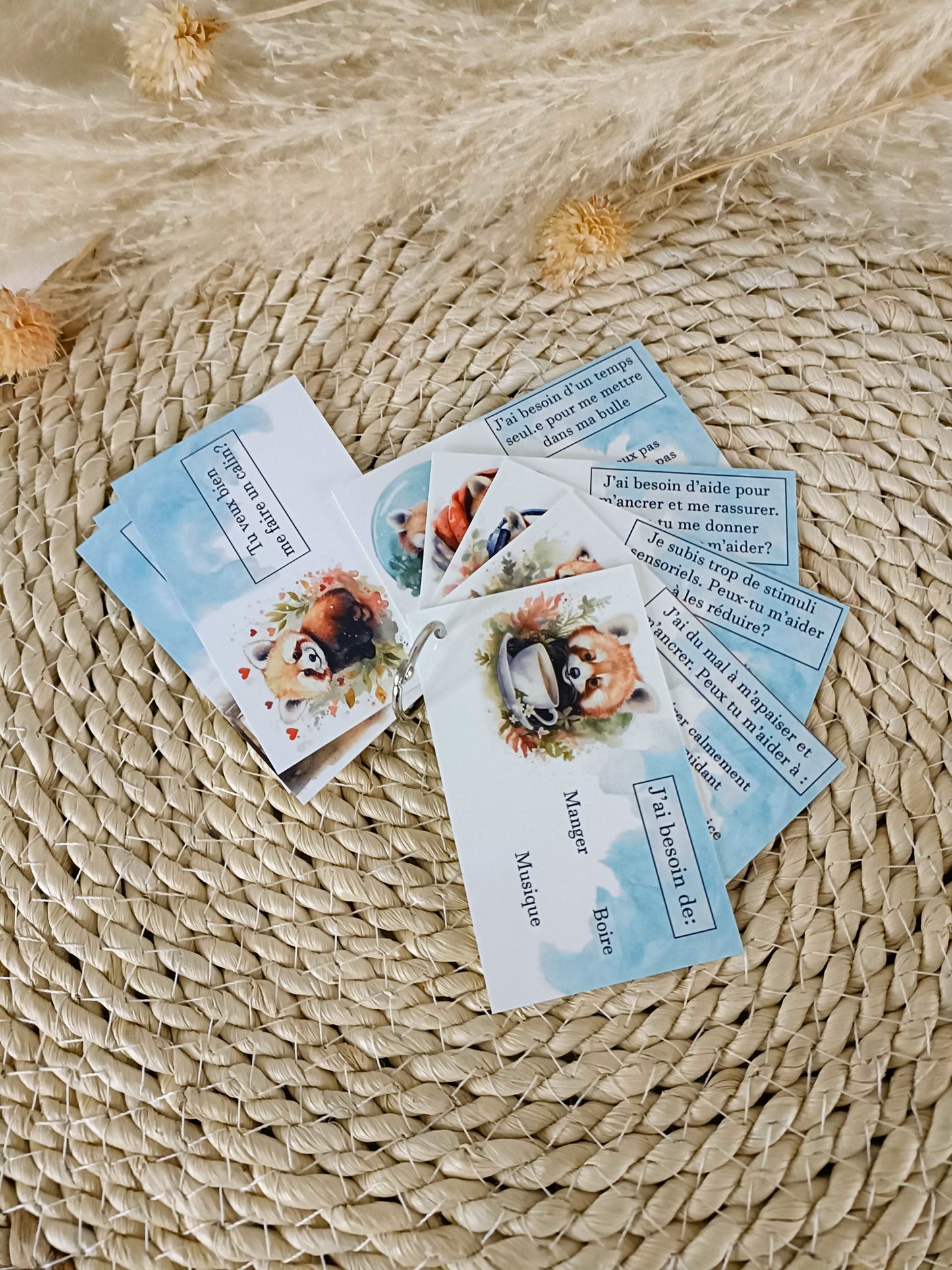 Les cartes de communication