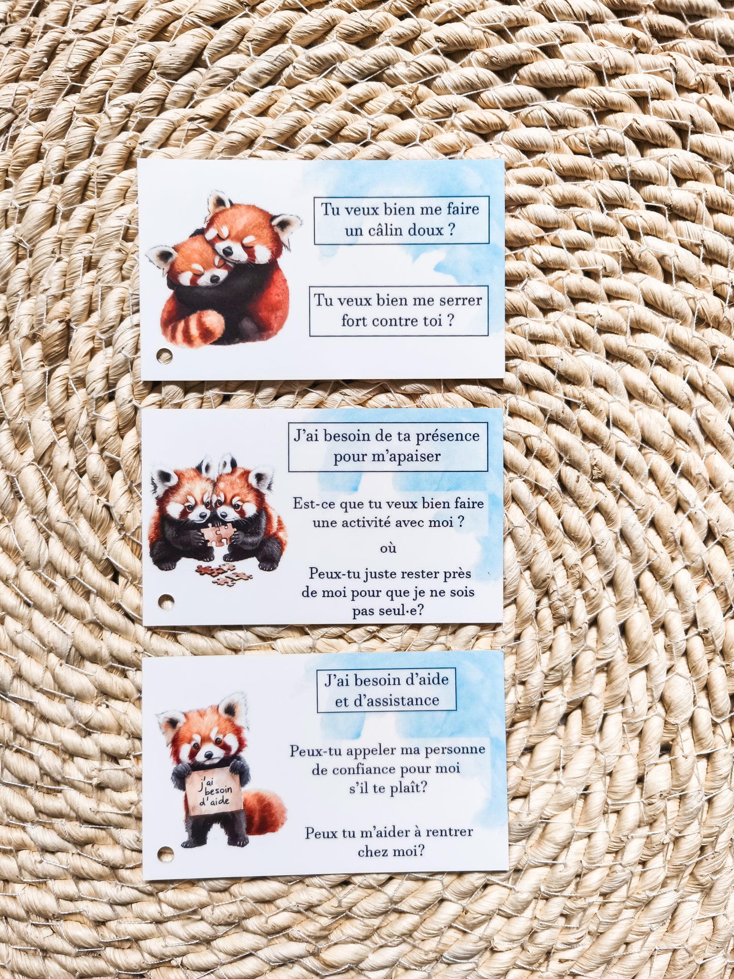 Kit d'extension des cartes de communication
