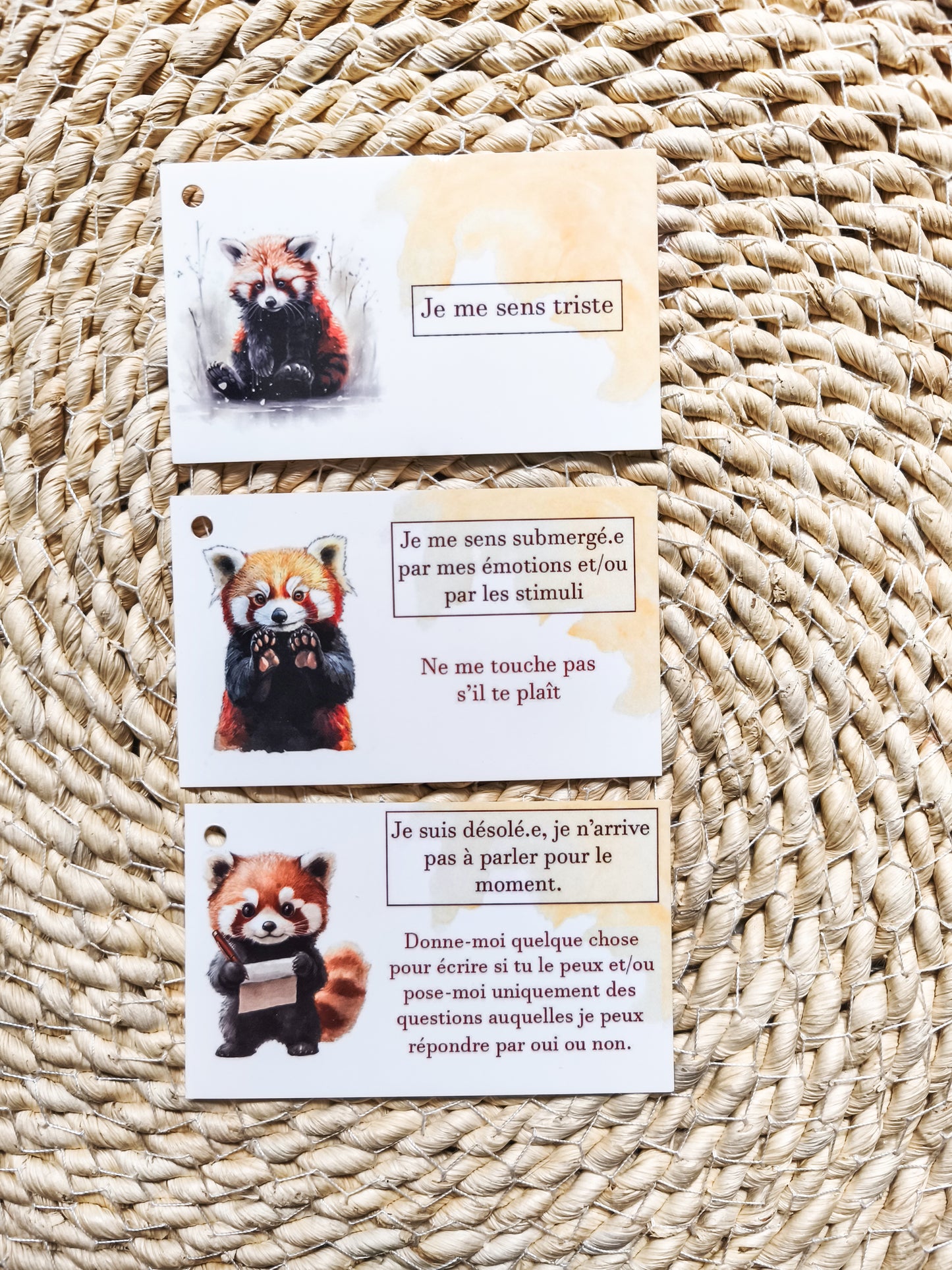 Kit d'extension des cartes de communication