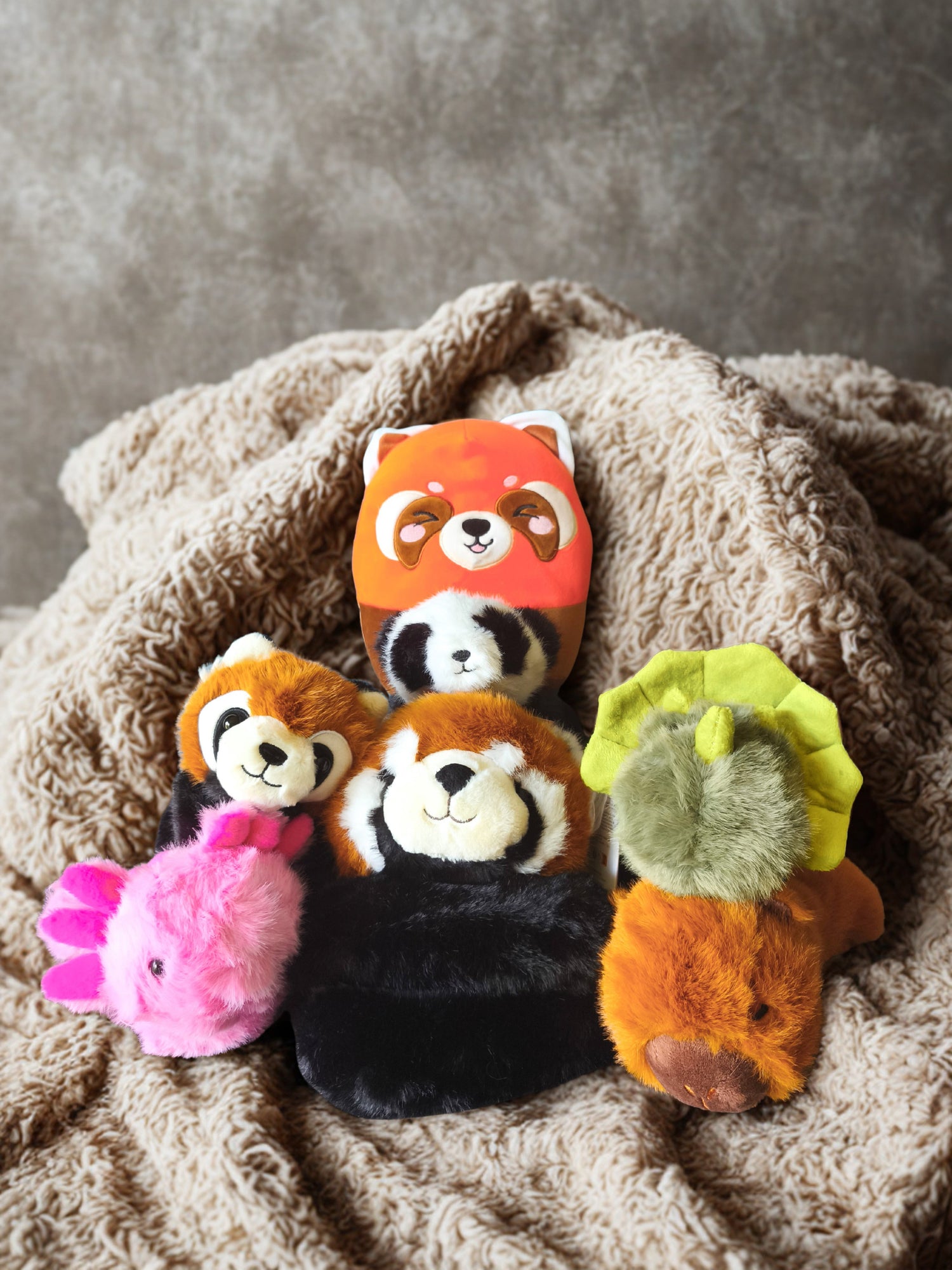 Nos peluches