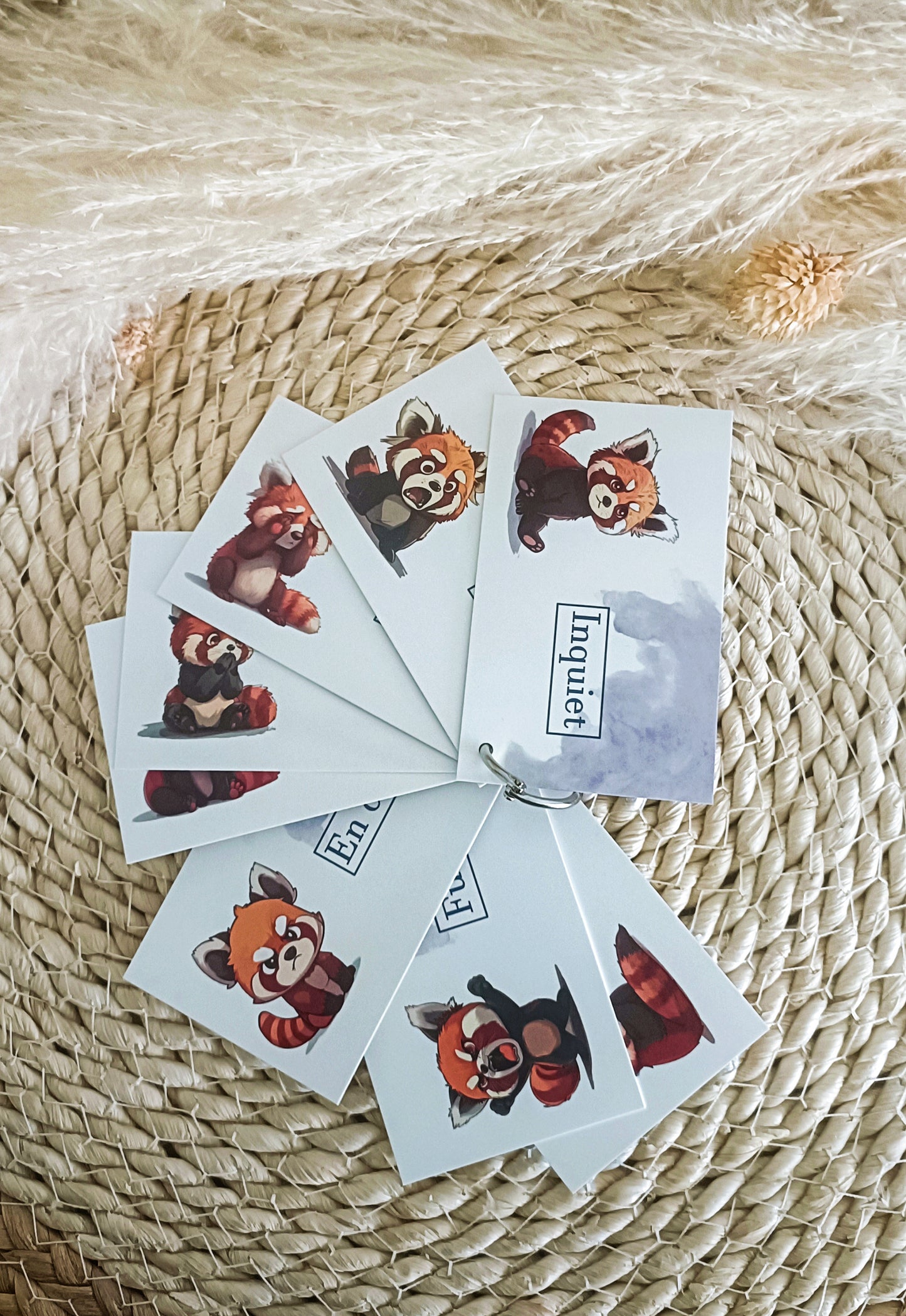 Cartes émotions simplifiées