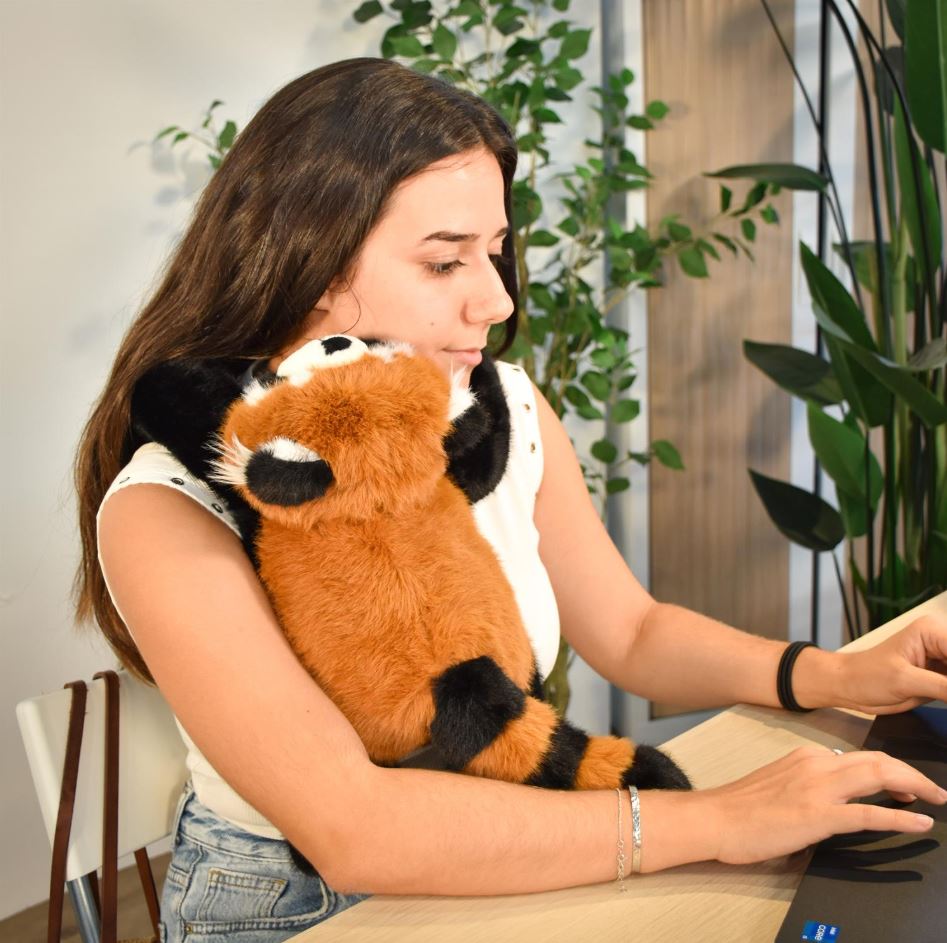 Peluche lestée panda roux 50cm - PODCOLL