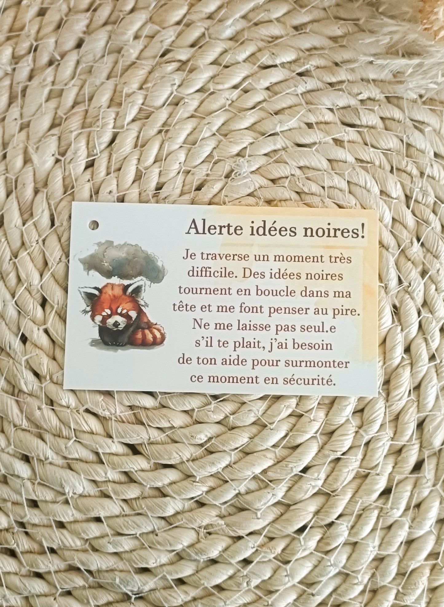 Coffret cadeau: A la découverte du trouble borderline
