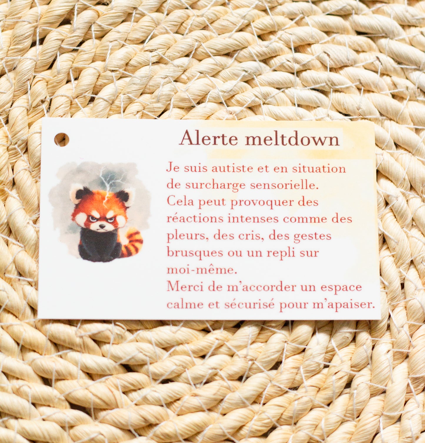 Carte spécifique: Meltdown