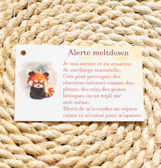 Carte spécifique: Meltdown